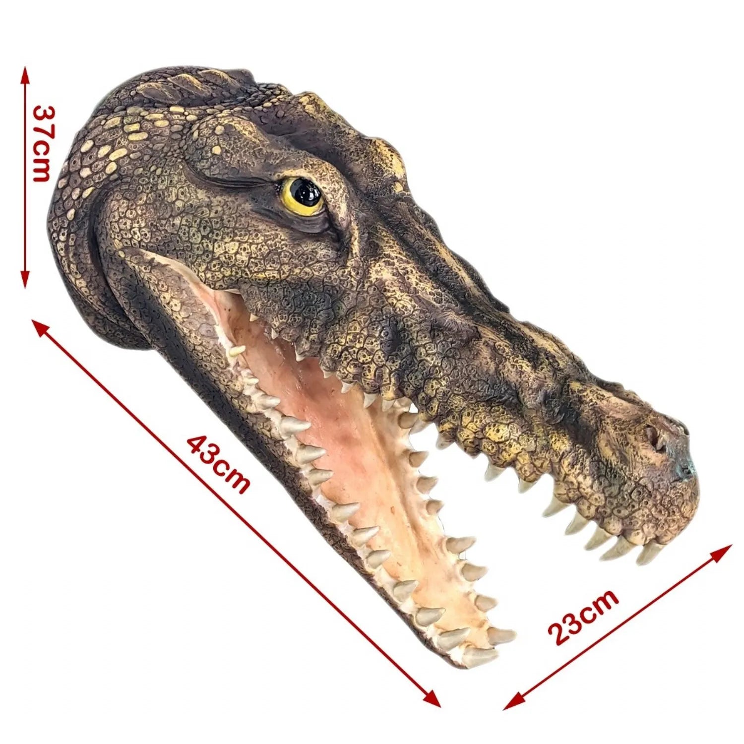 Crocodile Head Wall Art Faux Taxidermy - 43cm