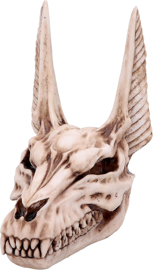 Anubis Skull Figurine 17cm