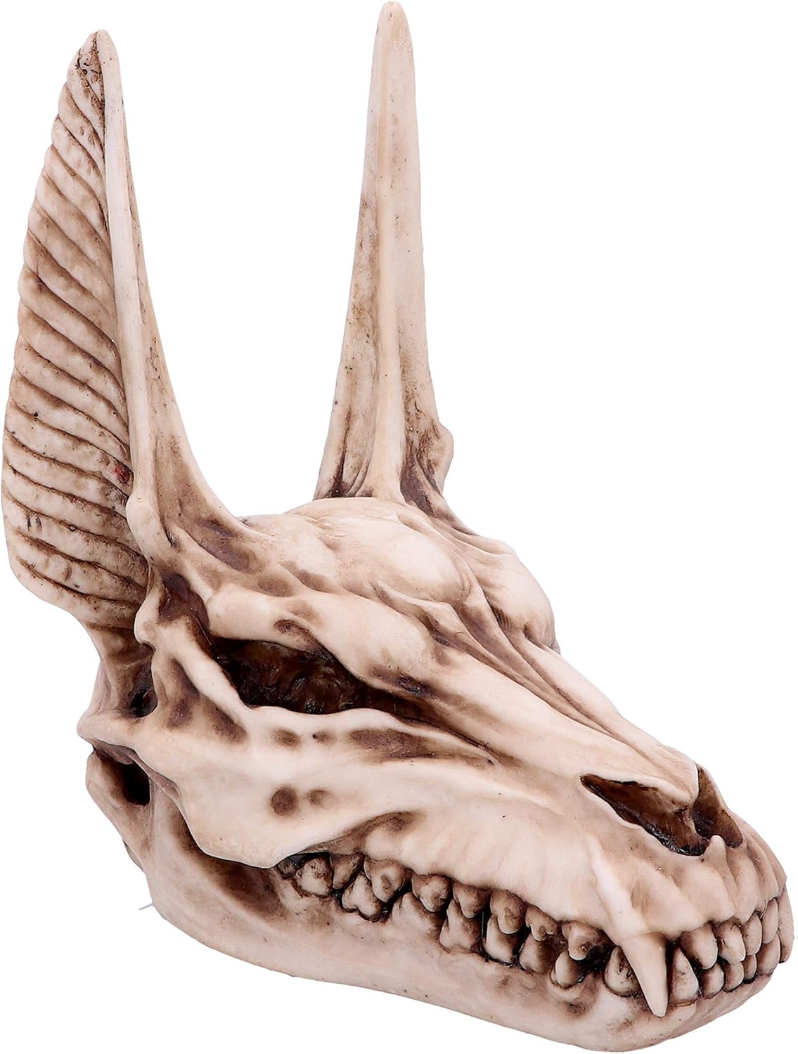 Anubis Skull Figurine 17cm