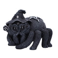 Black spider figurine wearing a witch hat with skull and pentacle designs on a white background-Mystic-Cave