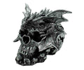 Decorative skull with dragon design on a white background