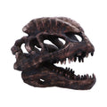 Dinosaur skull model on a white background-Mystic-Cave