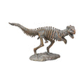 Dinosaur skeleton model on a white background-Mystic-Cave