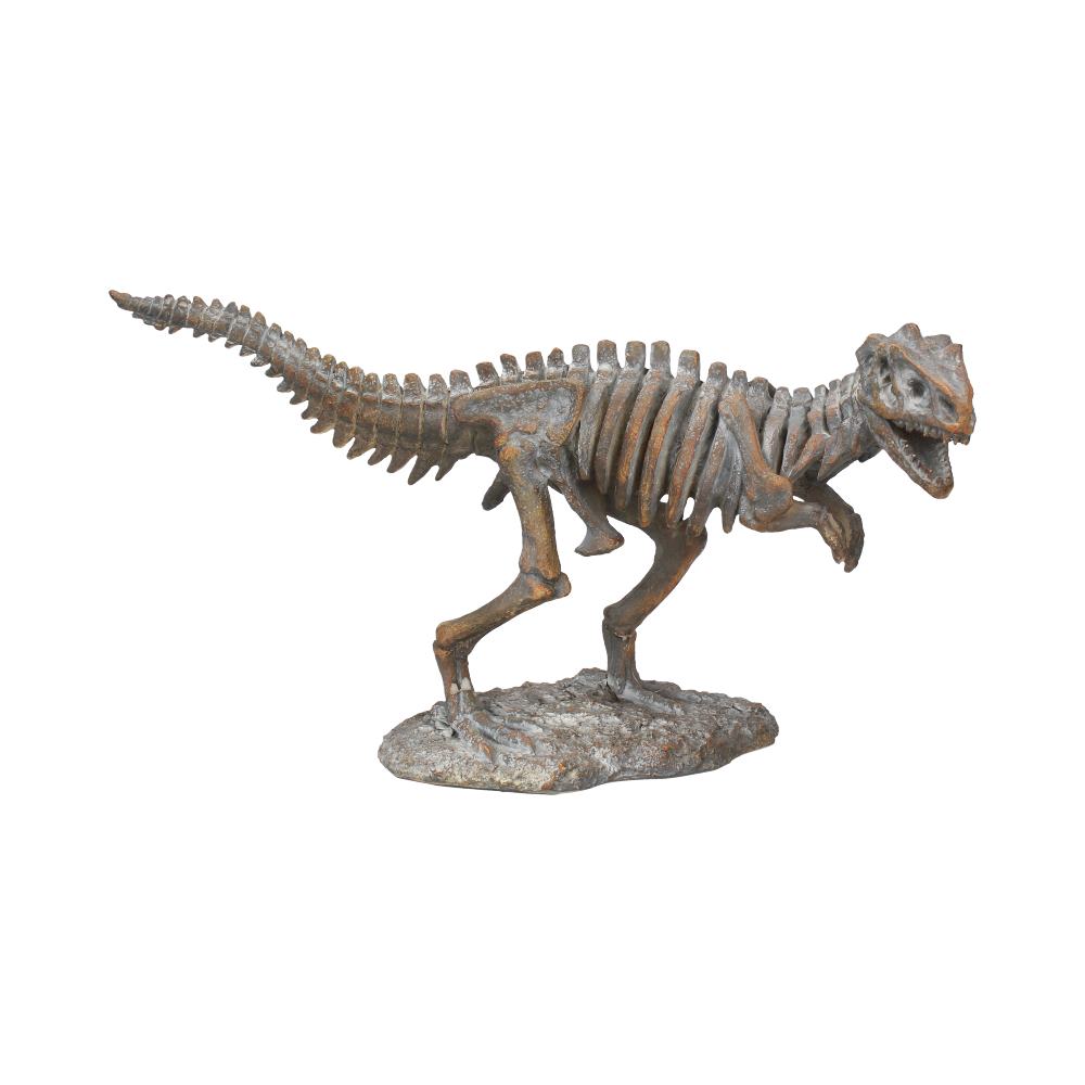 Dinosaur skeleton model on a white background-Mystic-Cave