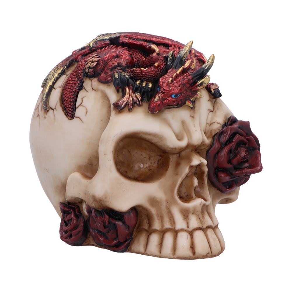 Rose Flame - Decorative Skull With Sleeping Dragon 14.5cm