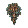Tree Spirit Wall Plaque Oak Guardian 19.5cm Mystic-cave