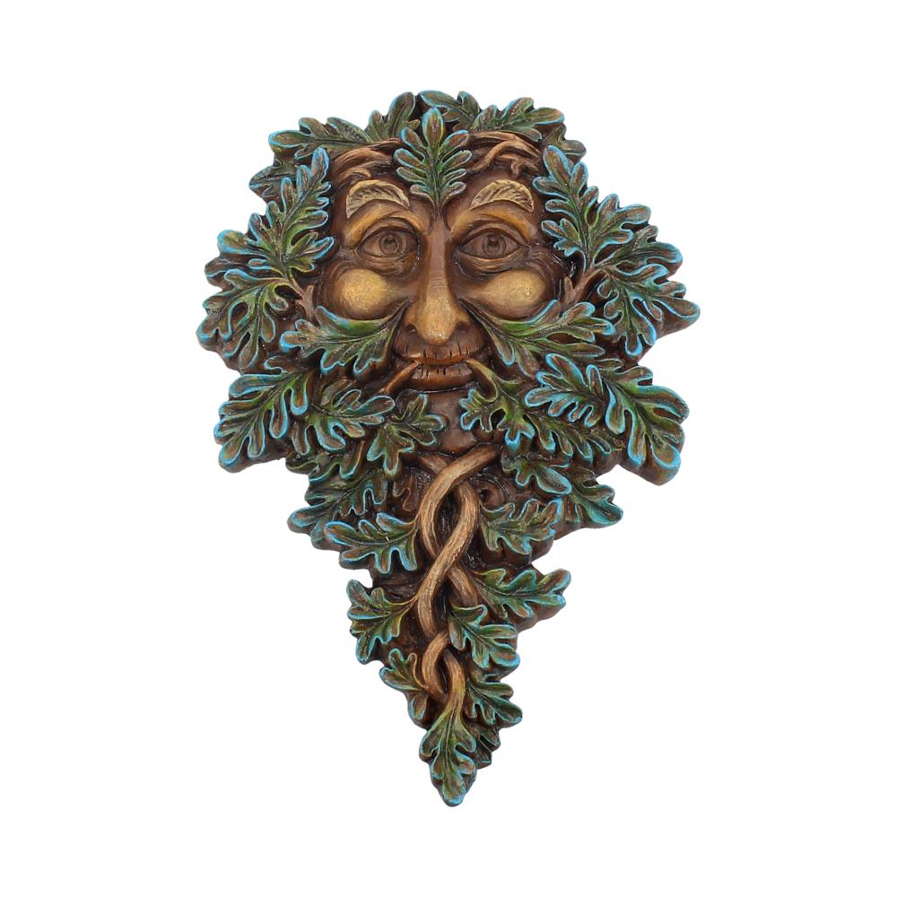 Tree Spirit Wall Plaque Oak Guardian 19.5cm Mystic-cave