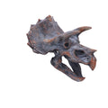 Dinosaur skull model on a white background-Mystic-Cave