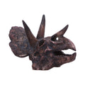 Bronze-colored triceratops dinosaur skull on a white background-Mystic-Cave