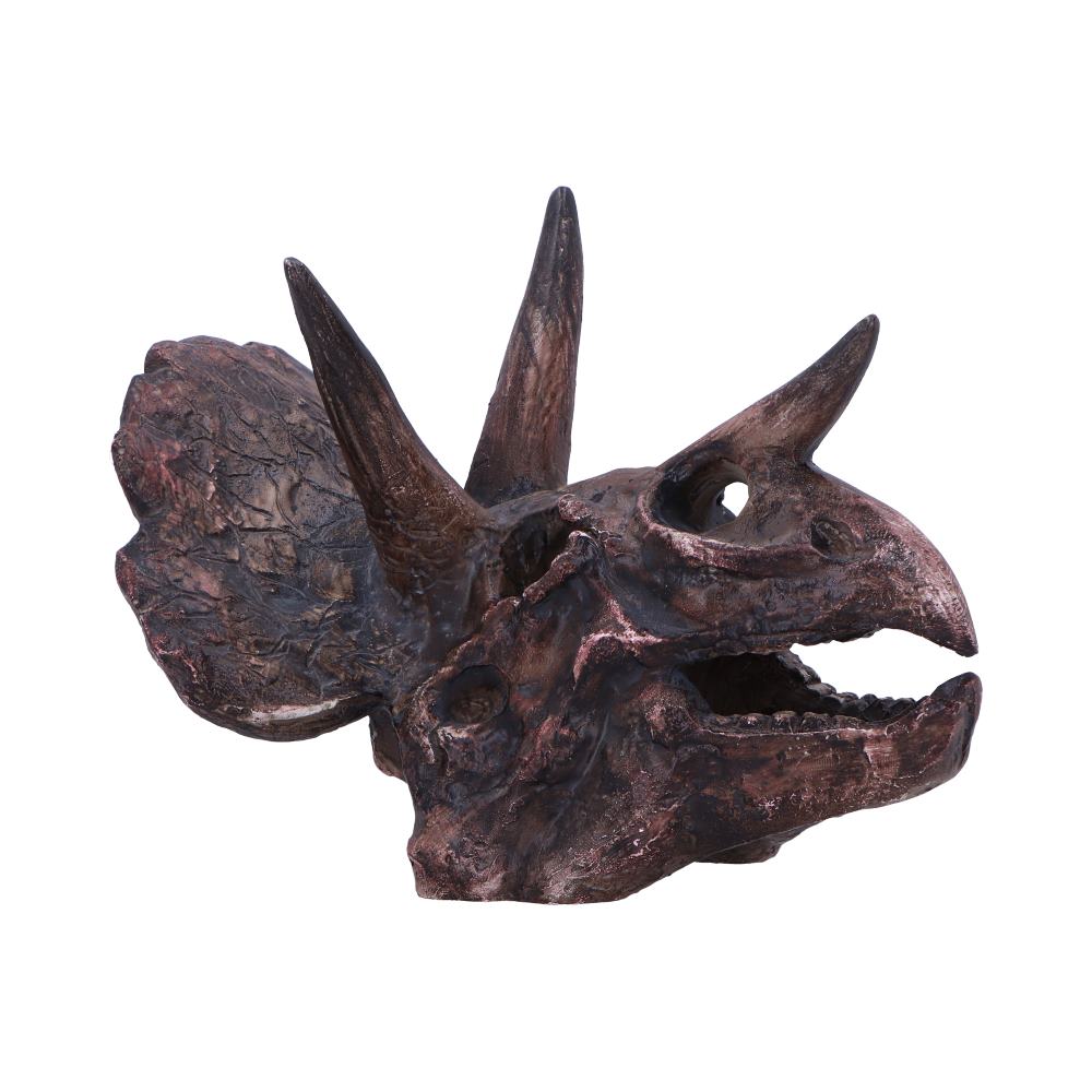 Bronze-colored triceratops dinosaur skull on a white background-Mystic-Cave