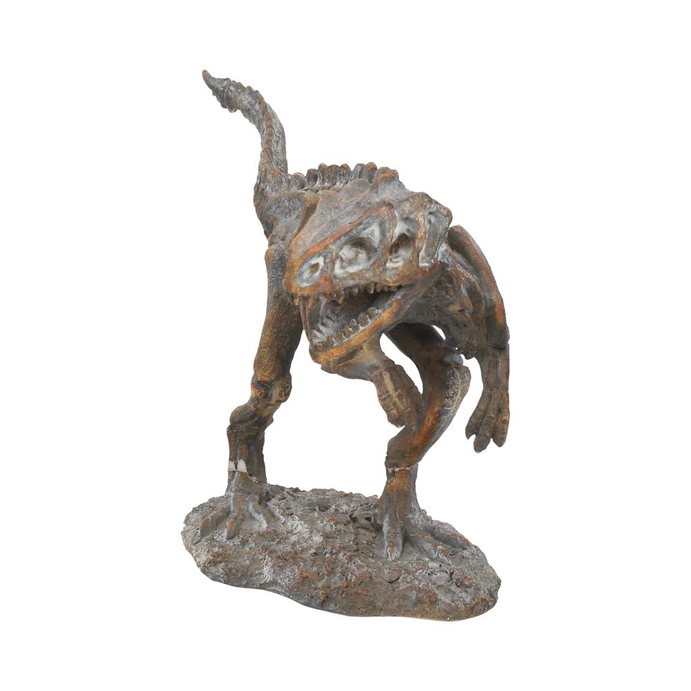 T Rex Skeleton Small 33cm