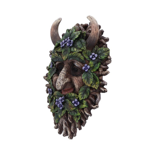 Alder — Wall Mounted Tree Spirit 20.2cm