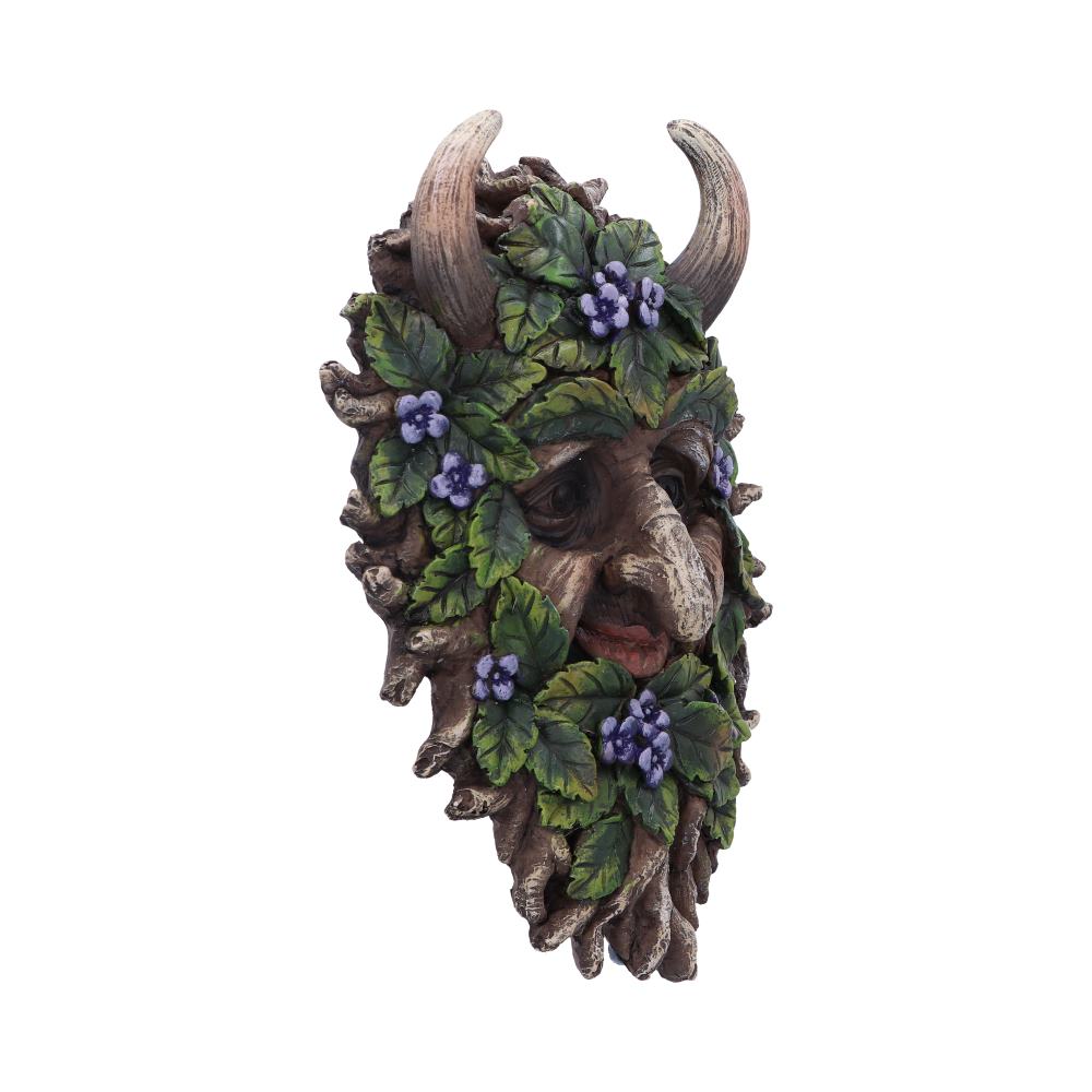 Alder — Wall Mounted Tree Spirit 20.2cm