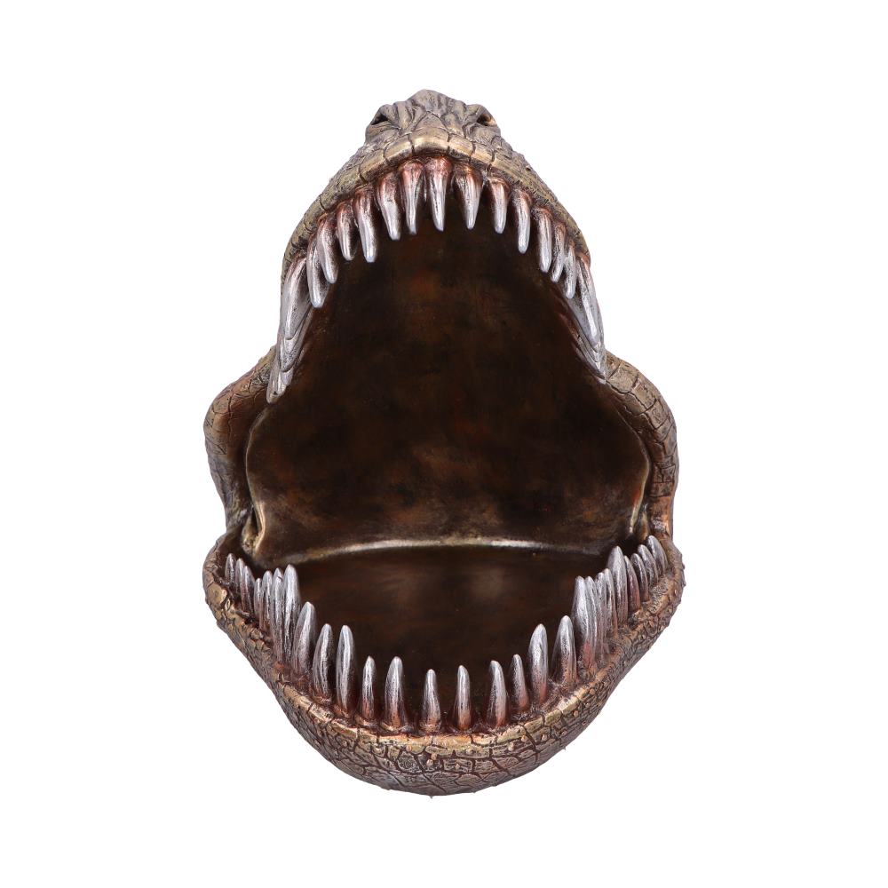 Tyrannosaurus Rex Trinket Dish 24cm