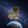 Dog Astronaut space background-Mystic-Cave