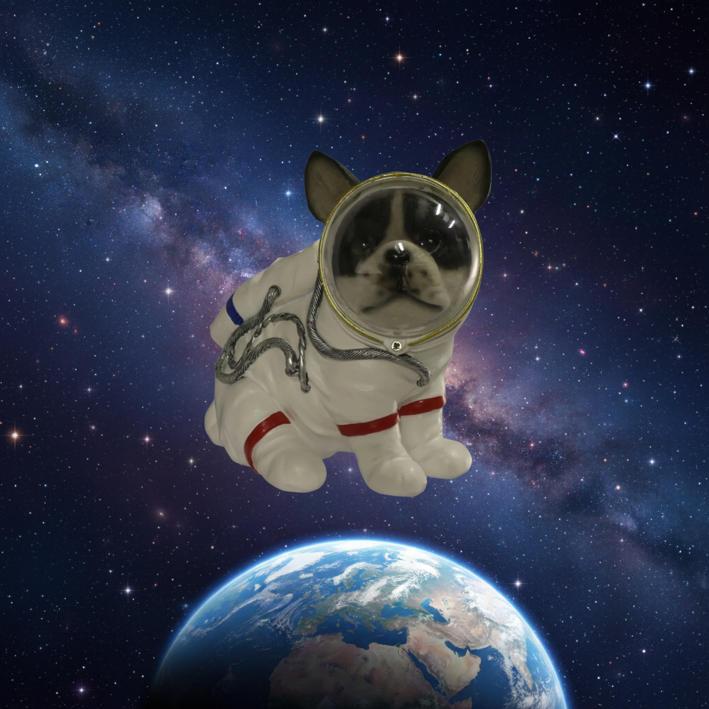 Dog Astronaut space background-Mystic-Cave