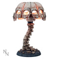 Atrocity Natural Bone Skull & Spine Lamp – 37.5cm