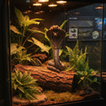 Steampunk Cobra in zoo reptile house-Mystic-Cave