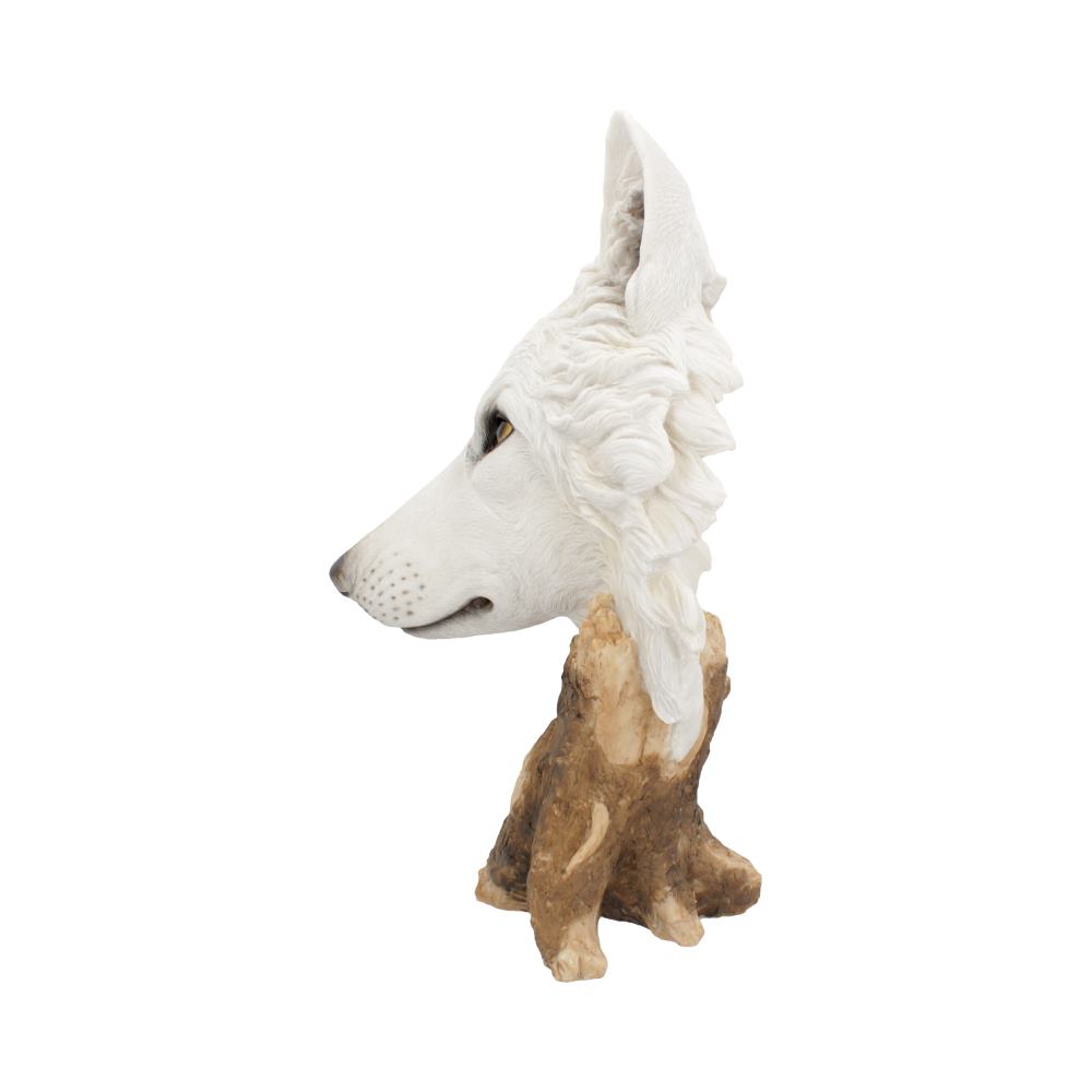 Wild Winter White Wolf Bust - 27.5cm