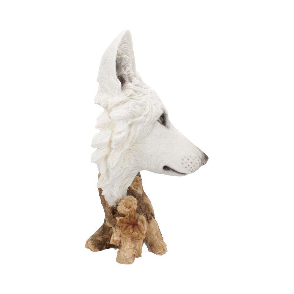 Wild Winter White Wolf Bust - 27.5cm