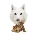 Wild Winter White Wolf Bust - 27.5cm