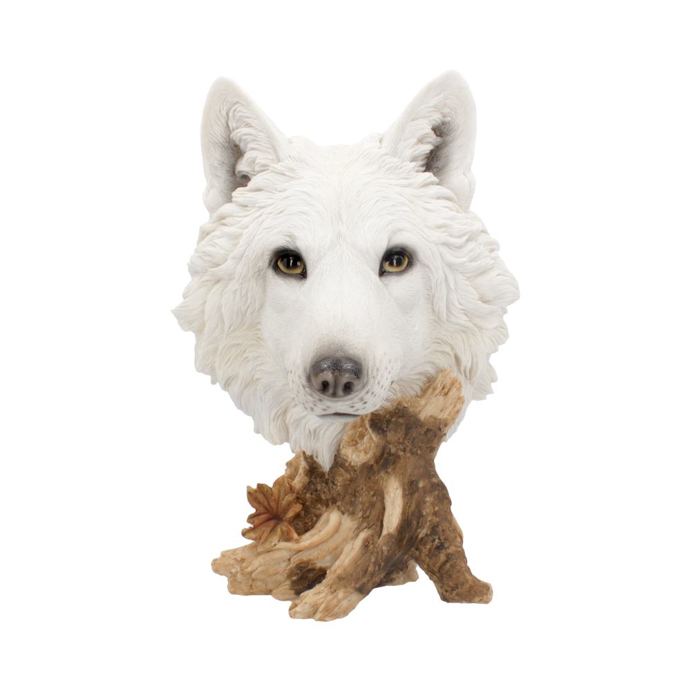 Wild Winter White Wolf Bust - 27.5cm