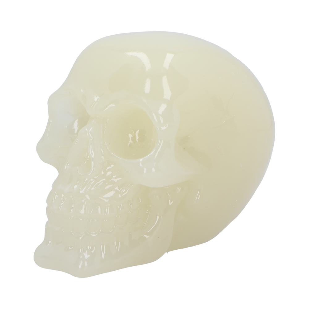 Phosphorescent Glow in the Dark Skull Ornament 13cm
