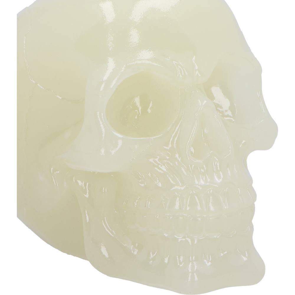 Phosphorescent Glow in the Dark Skull Ornament 13cm