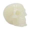 Phosphorescent Glow in the Dark Skull Ornament 13cm