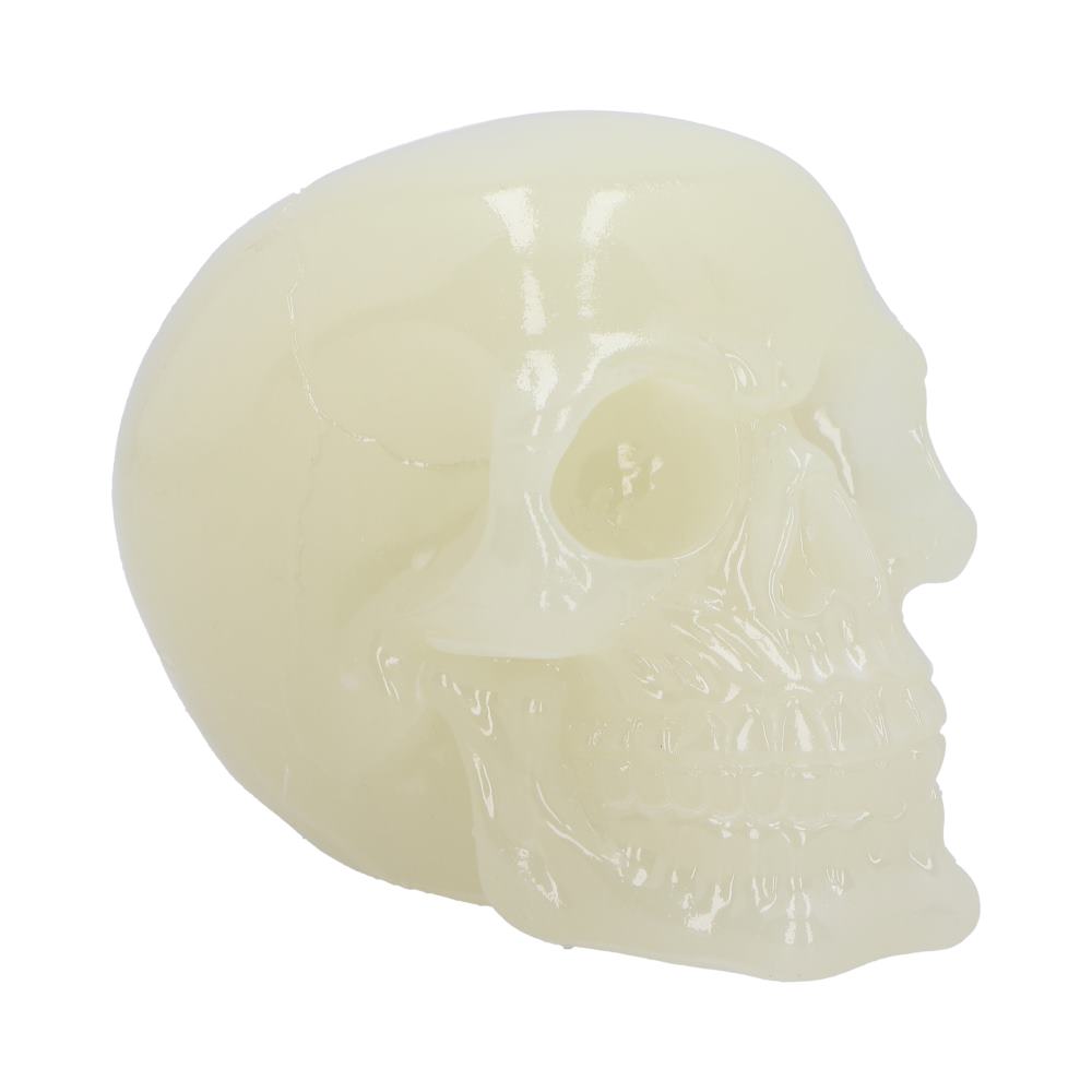 Phosphorescent Glow in the Dark Skull Ornament 13cm